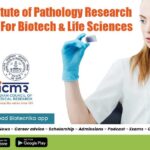NIP Research Assistant Vacancy