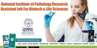 NIP Research Assistant Vacancy