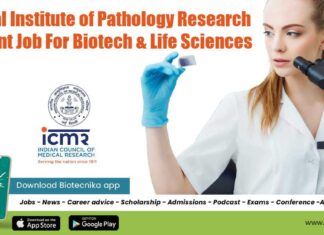 NIP Research Assistant Vacancy