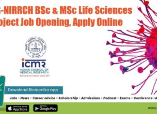 NIRRCH Project Officer Job