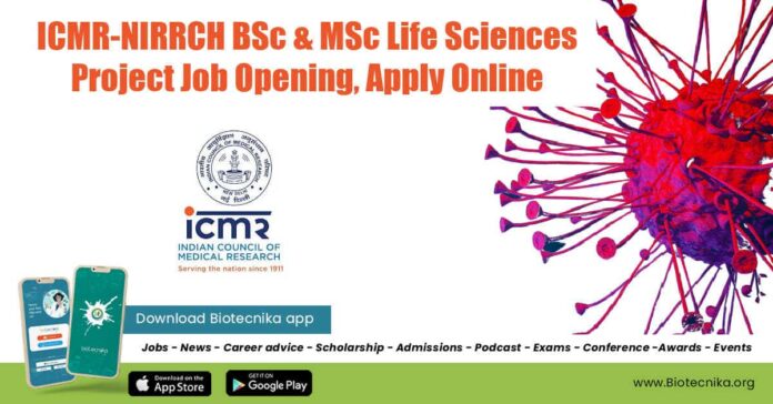 NIRRCH Project Officer Job