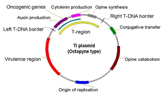 CSIR UNIT 12 Notes