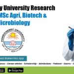 Pondicherry University Research Job