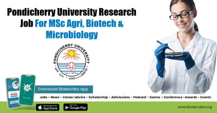 Pondicherry University Research Job