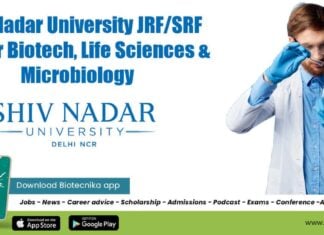 SNU JRF/SRF Job
