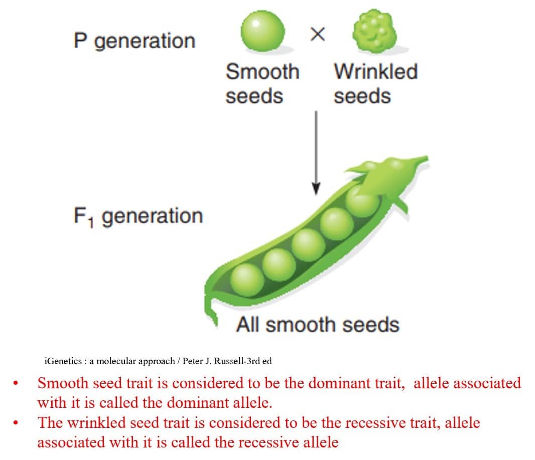 CSIR Unit 8 Notes