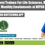 Student Intern/Trainee For Life Sciences, Biotech With Monthly Emoluments at NIPGR Student Intern Jobs