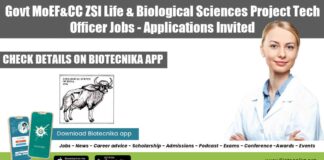 ZSI Project Tech Jobs