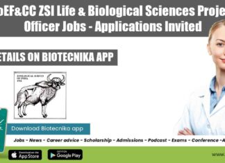 ZSI Project Tech Jobs