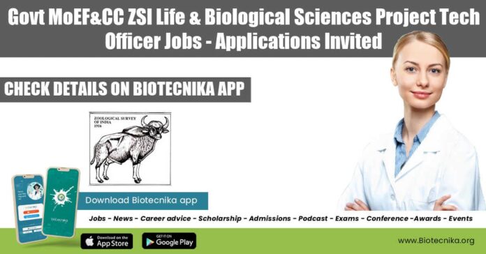 ZSI Project Tech Jobs