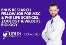 BNHS Research Fellow Job For MSc & PhD Life Sciences, Zoology & Wildlife Biology BNHS Research Fellow Job