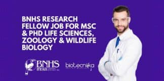 BNHS Research Fellow Job