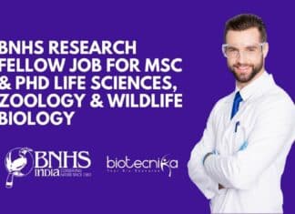 BNHS Research Fellow Job