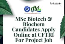MSc Biotech & Biochem Candidates Apply Online at CFTRI For Project Job CFTRI MSc Project Job