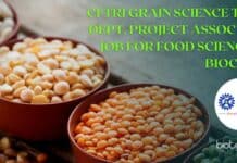 CFTRI Grain Science Tech Dept. Project Associate Job For Food Science & Biochem CFTRI Project