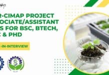 CSIR-CIMAP Project Associate/Assistant Jobs For BSc, BTech, MSc & PhD, Attend Walk-In CSIR-CIMAP Job Openings 2022