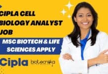 Cipla Cell Biology Analyst Job – MSc Biotech & Life Sciences Apply Cipla Cell Biology Job Opening
