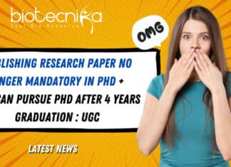 Publishing Paper in PhD