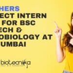 Freshers Project Intern Jobs