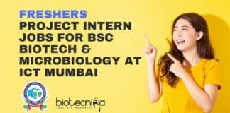 Freshers Project Intern Jobs