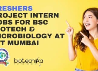 Freshers Project Intern Jobs
