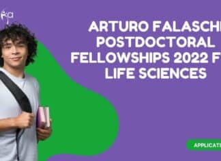 ICGEB Postdoc Fellowships 2022 Notification