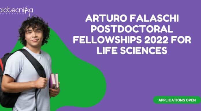 ICGEB Postdoc Fellowships 2022 Notification