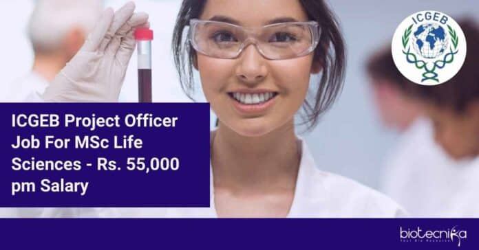 ICGEB Project Job Opening