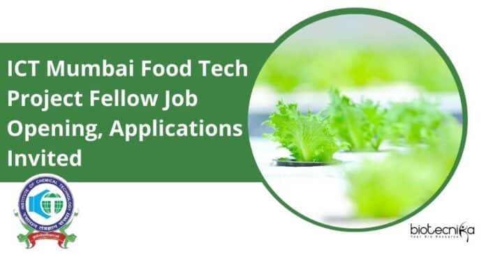 ICT Mumbai Food Tech Project Fellow Job Opening, Applications Invited