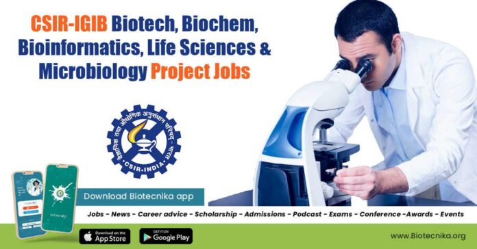 IGIB Research Openings 2022