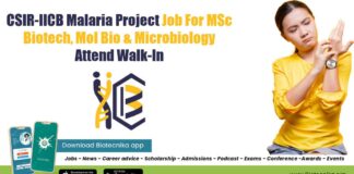 IICB JRF Job