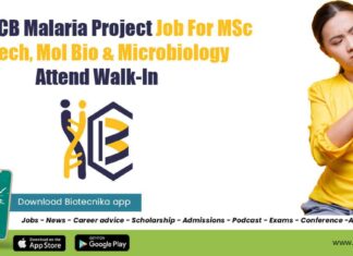 IICB JRF Job