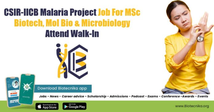 IICB JRF Job