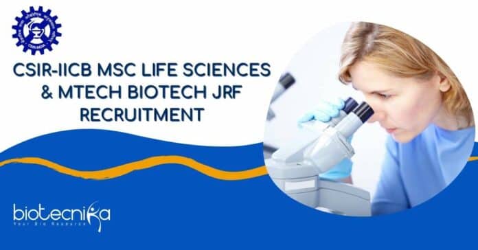 IICB MTech Job Opening