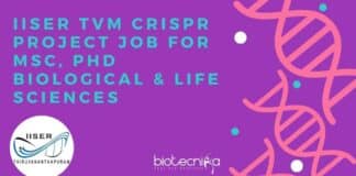 IISER TVM Project Vacancy