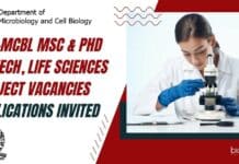 IISc-MCBL MSc & PhD Biotech, Life Sciences Project Vacancies, Applications Invited IISc Project Jobs 2022
