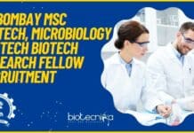 IIT Bombay MSc Biotech, Microbiology & MTech Biotech Research Fellow Recruitment IIT Bombay MSc Biotech