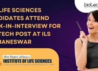 ILS BSc Job