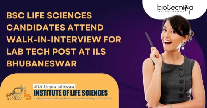 ILS BSc Job