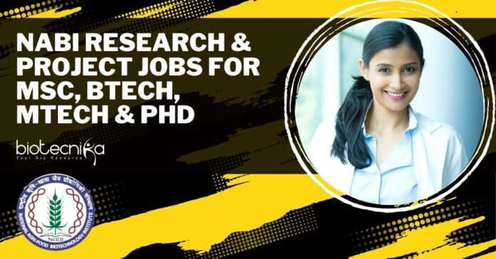 NABI Job Openings 2022