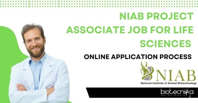 NIAB Project Associate Job