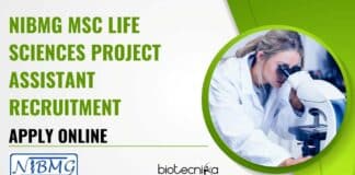 NIBMG Project Job Opening