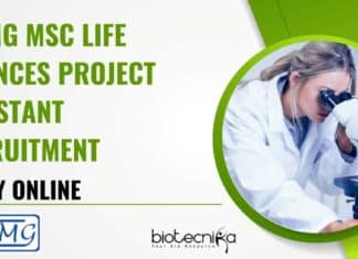 NIBMG Project Job Opening