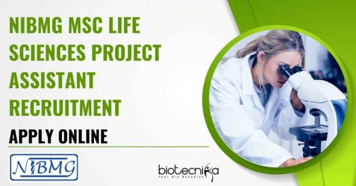 NIBMG Project Job Opening