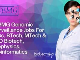 NIBMG Research Jobs Latest