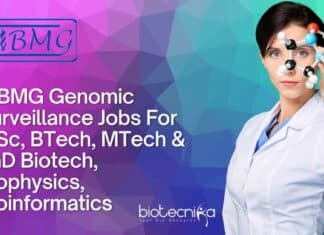 NIBMG Research Jobs Latest