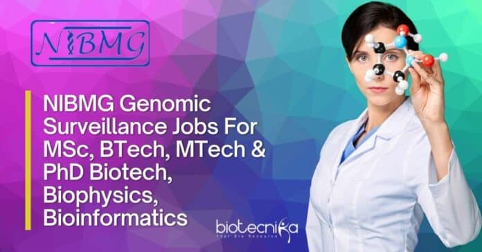 NIBMG Research Jobs Latest