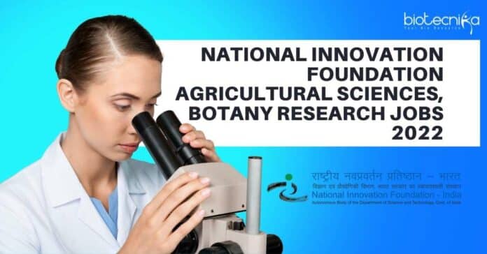 NIF Job Openings 2022