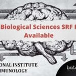NII Biological Sciences SRF Post Available – Applications Invited NII Project SRF Posting