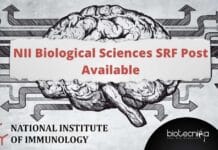 NII Biological Sciences SRF Post Available – Applications Invited NII Project SRF Posting